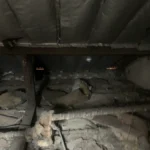  Rénovation des combles