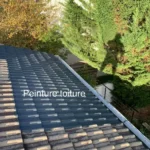 Peinture toiture